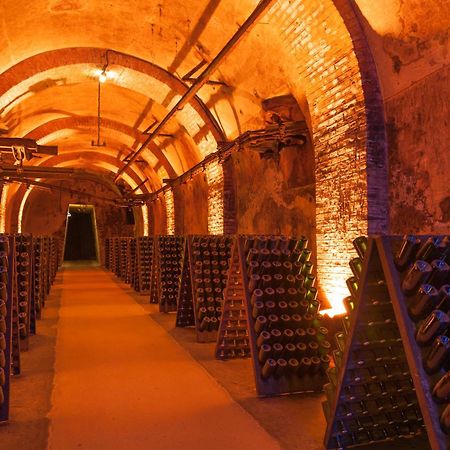 Champagne Central - Exceptionnel 3 Chambres Reims Kültér fotó